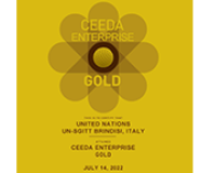 Certification Geospatial, Information and Telecommunications Technologies Brindisi Gold Ceeda